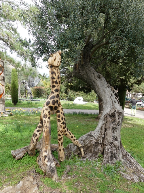 La girafe des jardiniers du Parc de Cap Martin