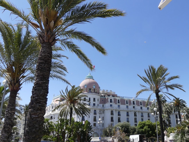 Palmiers de la promenade des Anglais face au Negresco